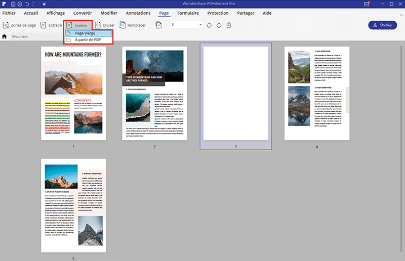 pdf page editor