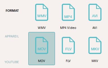 download pro video formats for windows