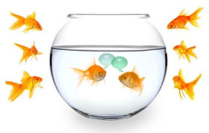 Fishbowl
